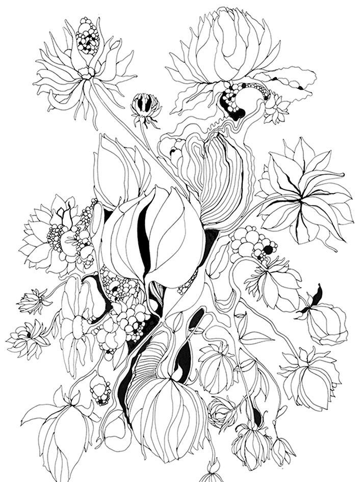 dessin_fleurs_fruit_2